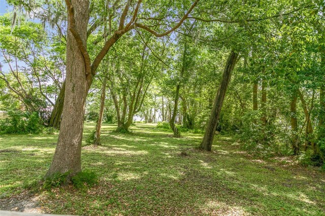 311 S Prospect St, Crescent City, FL 32112 - photo 71