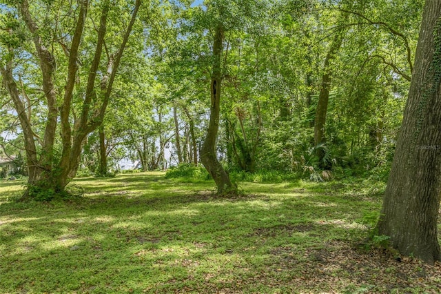 311 S Prospect St, Crescent City, FL 32112 - photo 88