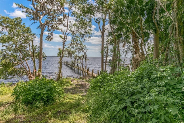 311 S Prospect St, Crescent City, FL 32112 - photo 91
