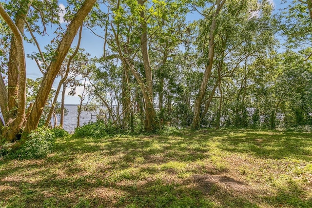 311 S Prospect St, Crescent City, FL 32112 - photo 92
