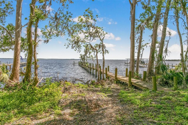 311 S Prospect St, Crescent City, FL 32112 - photo 93