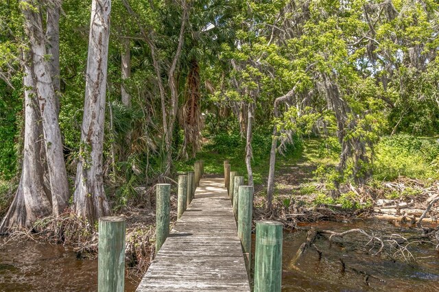 311 S Prospect St, Crescent City, FL 32112 - photo 94