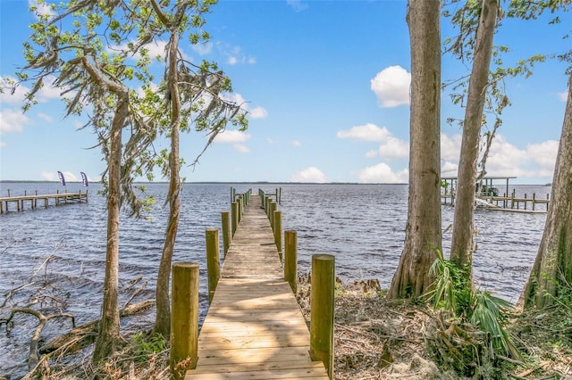 311 S Prospect St, Crescent City, FL 32112 - photo 96
