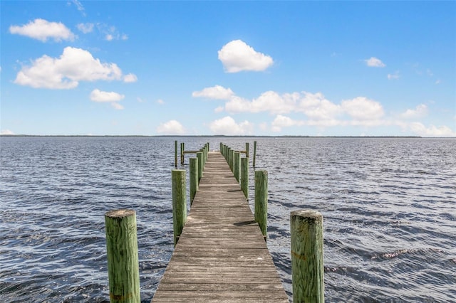311 S Prospect St, Crescent City, FL 32112 - photo 97
