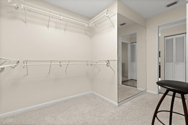 2924 River Point Dr, Daytona Beach, FL 32118 - spacious closet featuring visible vents and carpet floors