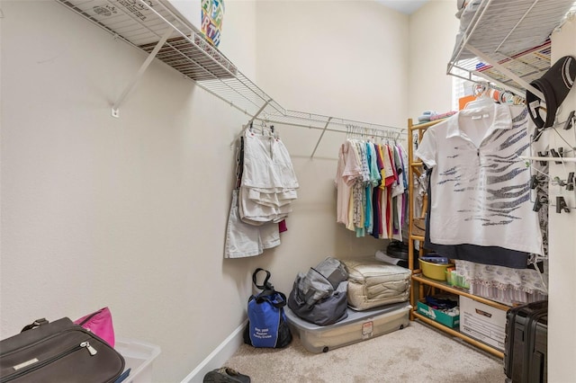 65 Heron Dr, Palm Coast, FL 32137 - spacious closet featuring carpet