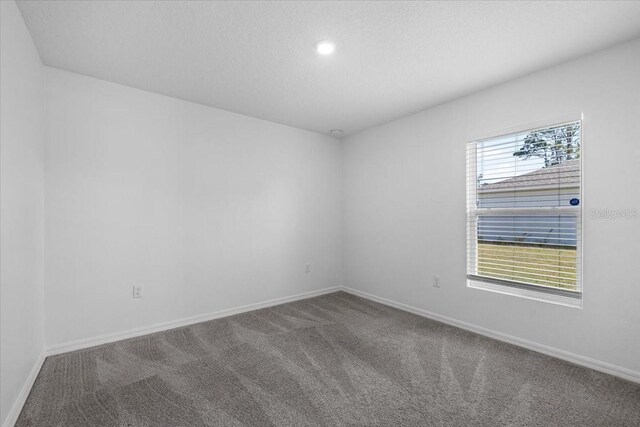 10 Post Oak Ln, Palm Coast, FL 32164 - empty room with carpet, healthy amount of natural light, baseboards, and a textured ceiling