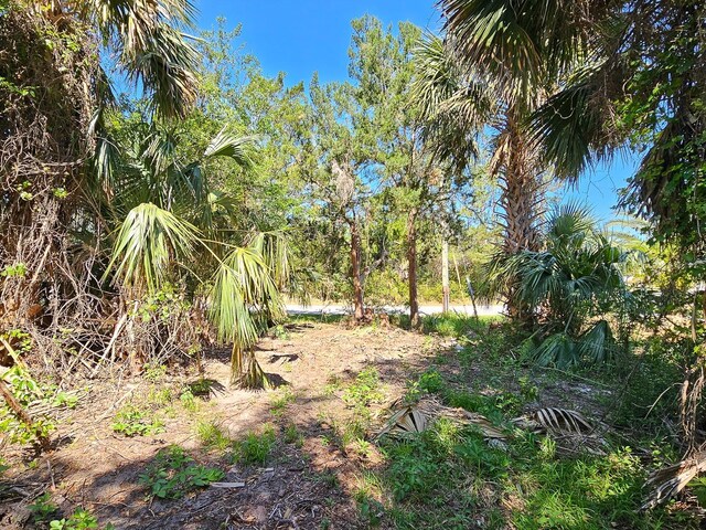 52 Colechester Ln, Palm Coast, FL 32137 - photo 3