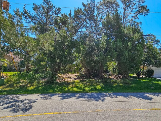 52 Colechester Ln, Palm Coast, FL 32137 - photo 4