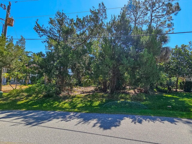 52 Colechester Ln, Palm Coast, FL 32137 - photo 6