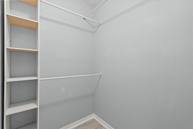 spacious closet featuring wood finished floors