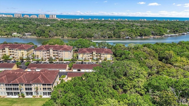 drone / aerial view of a large body of water and a forest