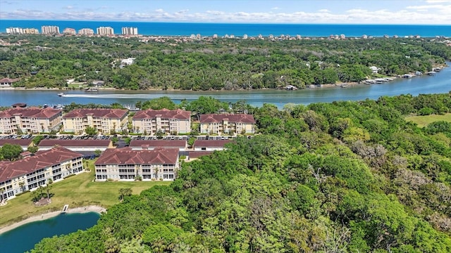 aerial view of a large body of water and a heavily wooded area