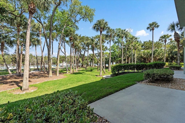 100 Canopy Walk Ln Unit 112, Palm Coast, FL 32137 - photo 15