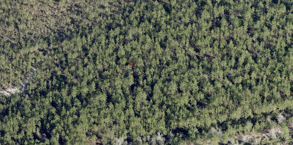 0 Beaver W, Jacksonville, FL 32234 - photo 1