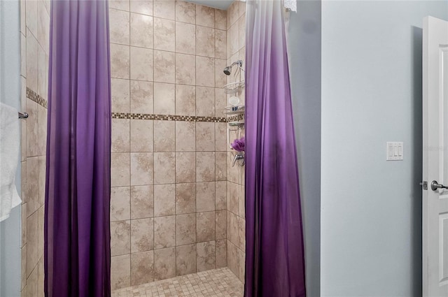 47 Raleigh Dr, Palm Coast, FL 32164 - full bath with a shower stall