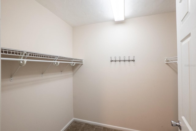 walk in closet with carpet floors