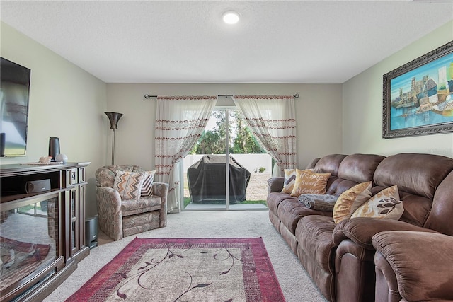 64 Princess Ruth Ln, Palm Coast, FL 32164 - carpeted living area featuring a textured ceiling