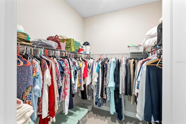 walk in closet with carpet flooring