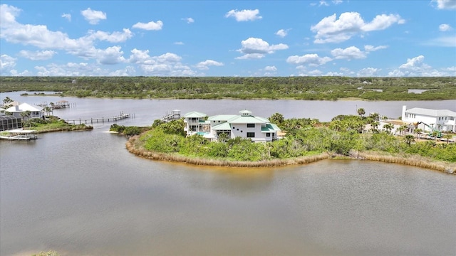 2590 Palm Ave, Flagler Beach, FL 32136 - drone / aerial view of a large body of water
