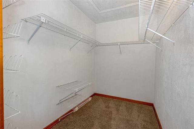 200 Florida Shores Blvd, Daytona Beach, FL 32118 - spacious closet featuring carpet floors