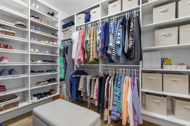 28 Cinnamon Grove Ln, Palm Coast, FL 32137 - walk in closet featuring wood finished floors