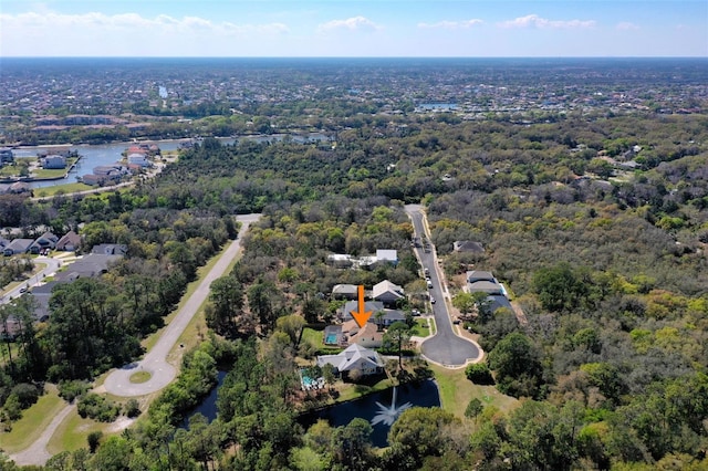 28 Cinnamon Grove Ln, Palm Coast, FL 32137 - birds eye view of property featuring a water view and a residential view