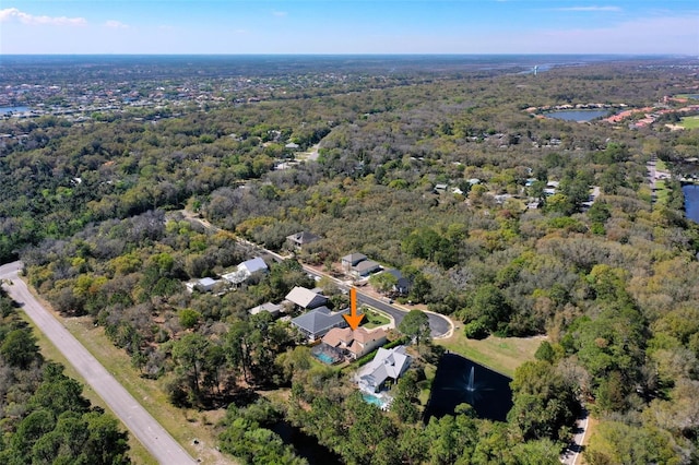 28 Cinnamon Grove Ln, Palm Coast, FL 32137 - birds eye view of property with a forest view and a water view