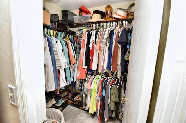 spacious closet with carpet floors