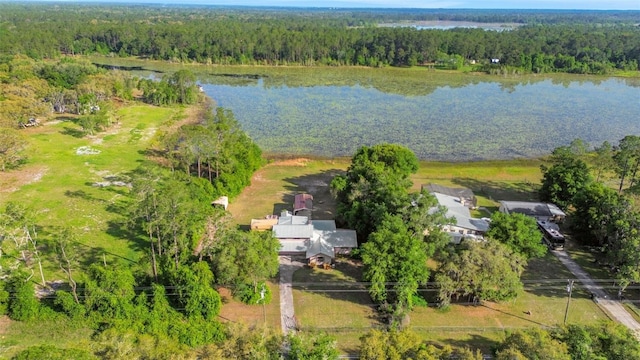 birds eye view of property with a view of trees and a water view