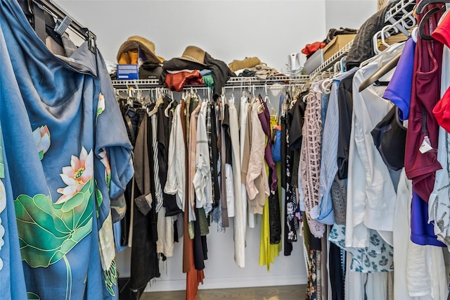 view of walk in closet