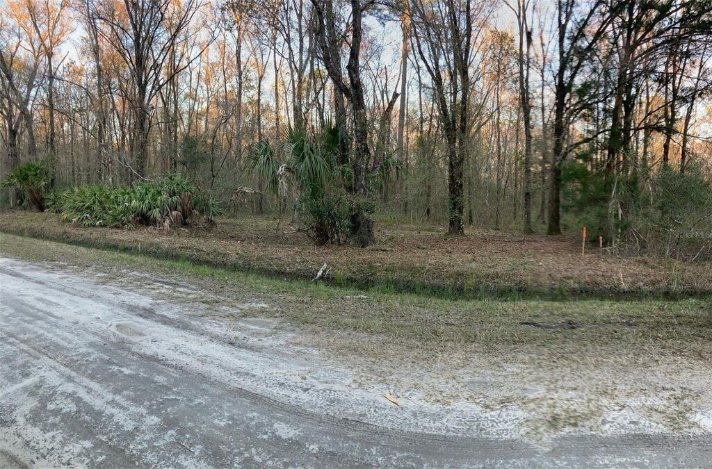 10450 Weatherby Ave, Hastings, FL 32145 - photo 3