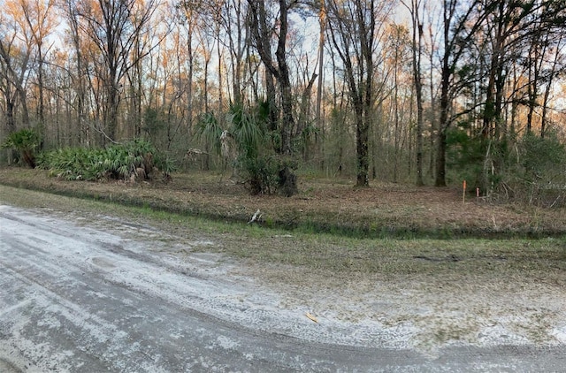 10450 Weatherby Ave, Hastings, FL 32145 - photo 3