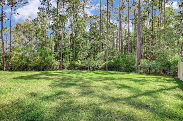 45 King Palm Ct, Ponte Vedra, FL 32081 - view of yard