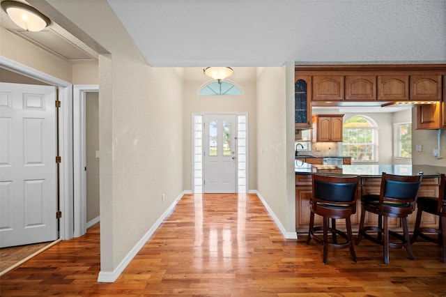 1501 Lambert Ave, Flagler Beach, FL 32136 - foyer with light wood finished floors, a textured wall, and plenty of natural light