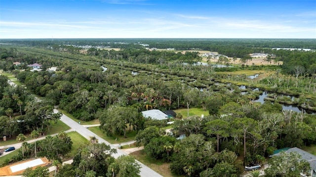 1501 Lambert Ave, Flagler Beach, FL 32136 - aerial view of property and surrounding area with a heavily wooded area and a large body of water