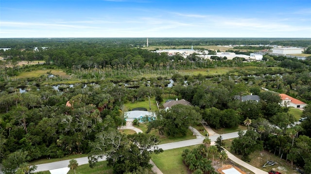 1501 Lambert Ave, Flagler Beach, FL 32136 - view of property location