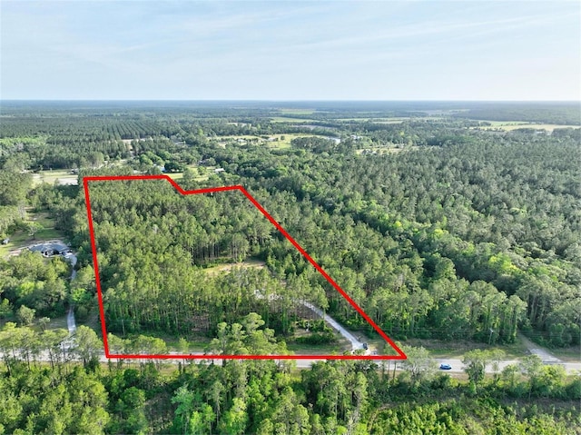 4343 W State Highway 100, Bunnell, FL 32110 - photo 52