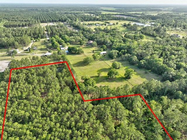 4343 W State Highway 100, Bunnell, FL 32110 - photo 55