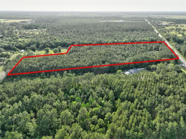4343 W State Highway 100, Bunnell, FL 32110 - photo 68