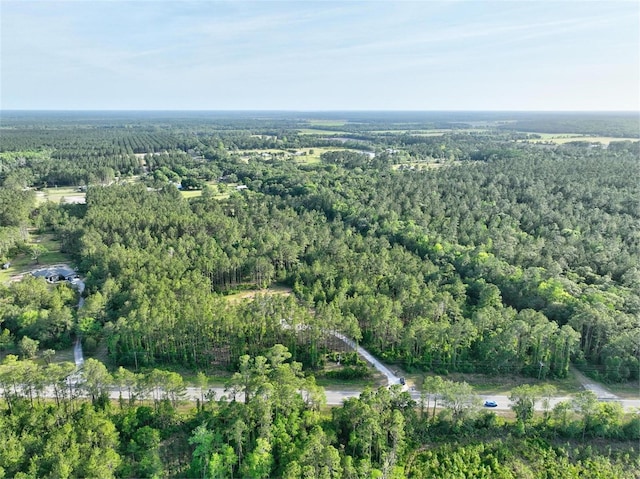 4343 W State Highway 100, Bunnell, FL 32110 - photo 53