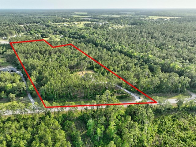 4343 W State Highway 100, Bunnell, FL 32110 - photo 54