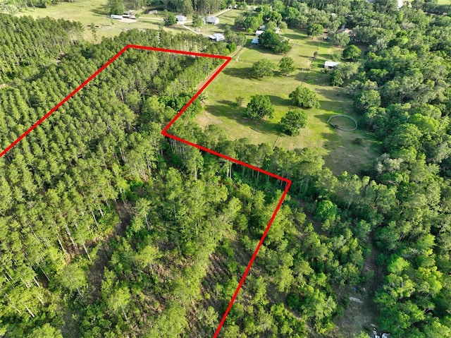 4343 W State Highway 100, Bunnell, FL 32110 - photo 56