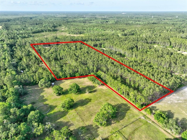 4343 W State Highway 100, Bunnell, FL 32110 - photo 57