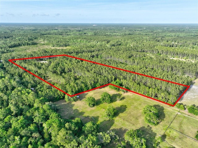 4343 W State Highway 100, Bunnell, FL 32110 - photo 58