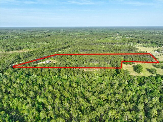 4343 W State Highway 100, Bunnell, FL 32110 - photo 59