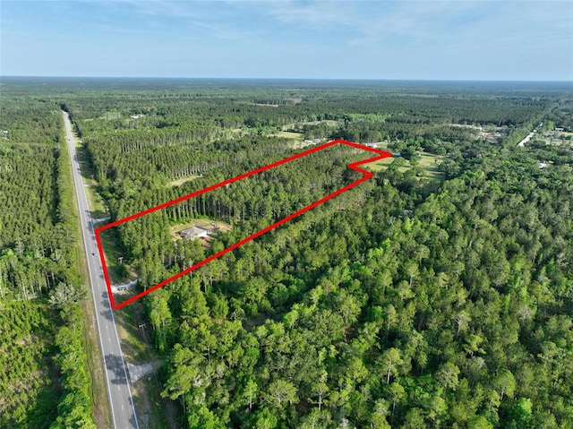 4343 W State Highway 100, Bunnell, FL 32110 - photo 60