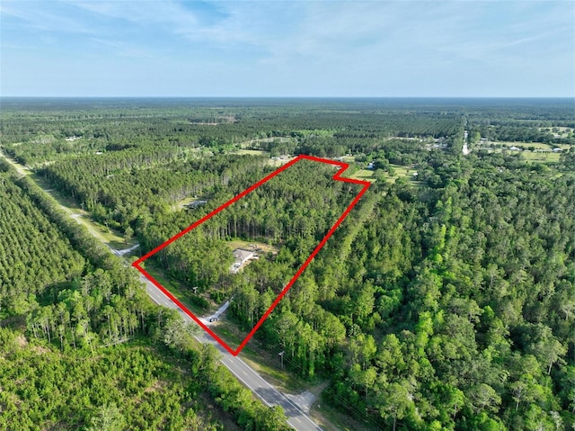 4343 W State Highway 100, Bunnell, FL 32110 - photo 61