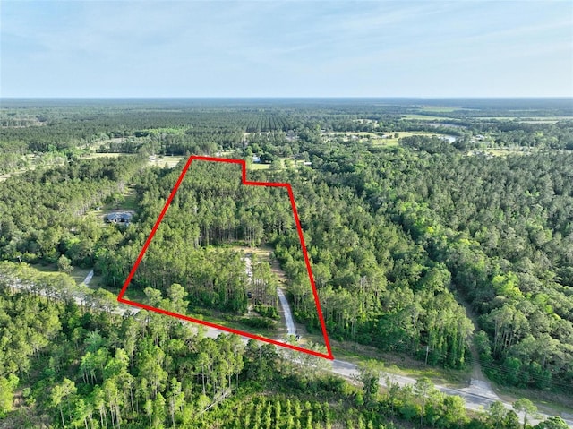 4343 W State Highway 100, Bunnell, FL 32110 - photo 62