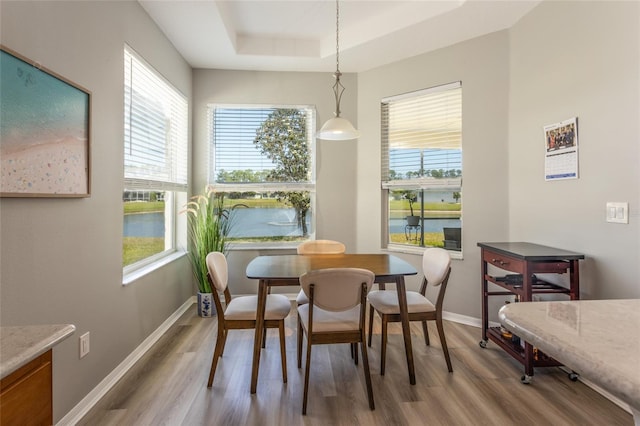 125 Raintree Cir, Palm Coast, FL 32164 - dining area with a water view, light wood-style flooring, a wealth of natural light, and baseboards